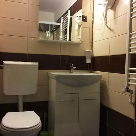 Transilvania Garden House Pensiune 2*